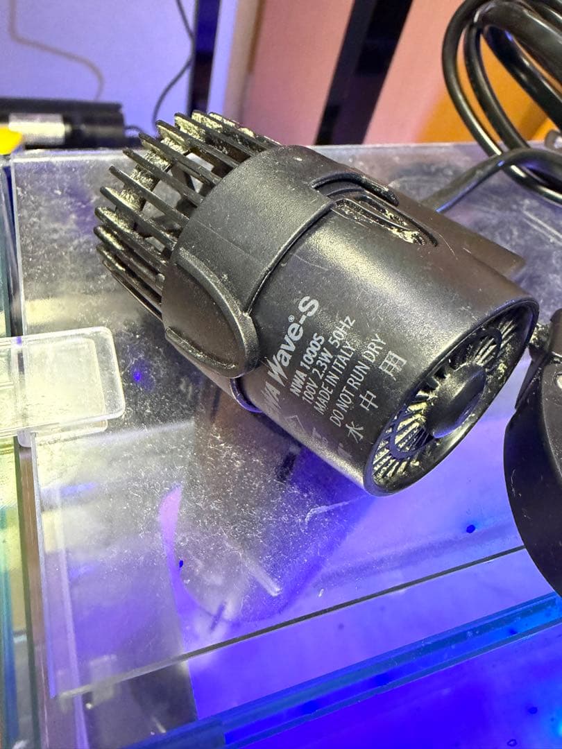 直接引き取り6045ガラス水槽 リフジウム水槽 その他おまけ付き