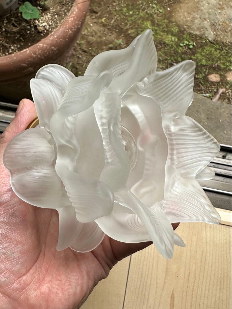 ＊キャサリンページになります＊