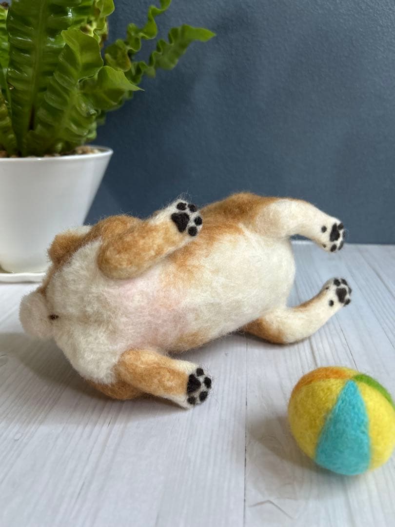 羊毛フェルト　犬　柴犬