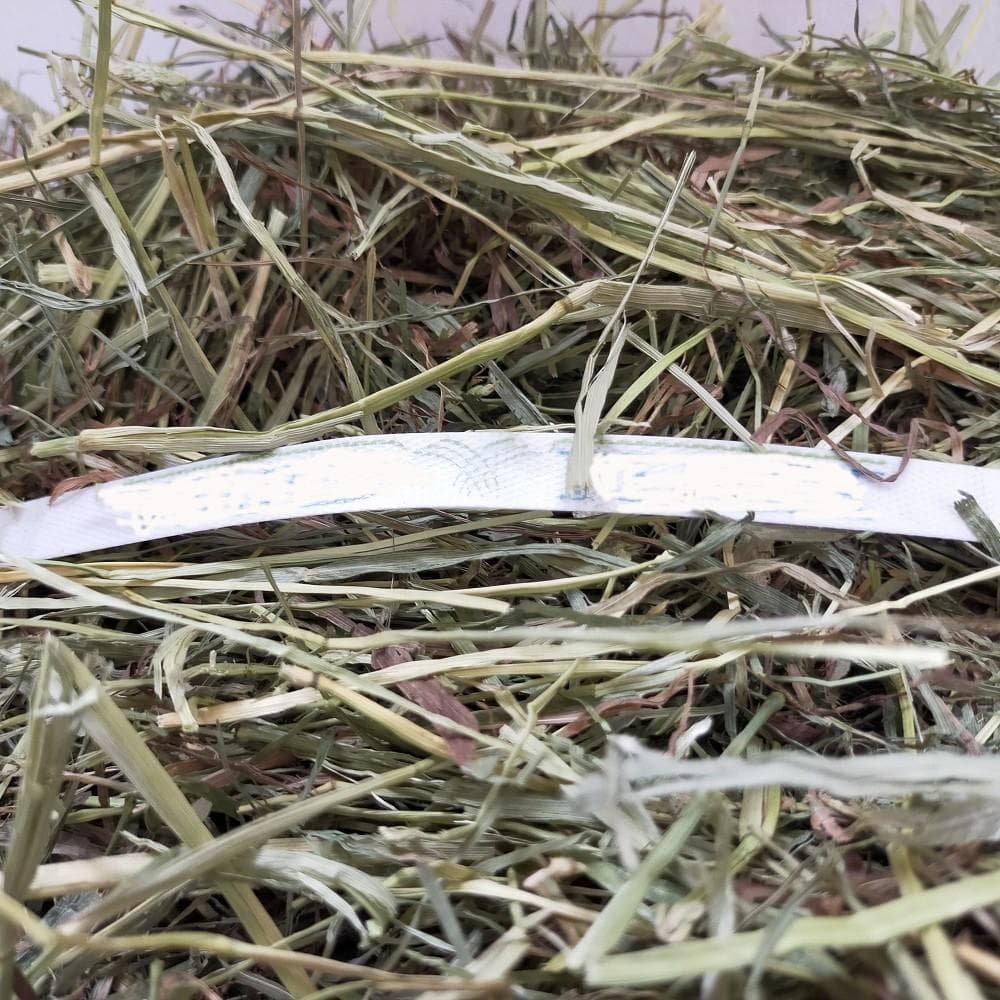 US産 チモシー 40kg ２番刈 ソフトスーパープレミアム