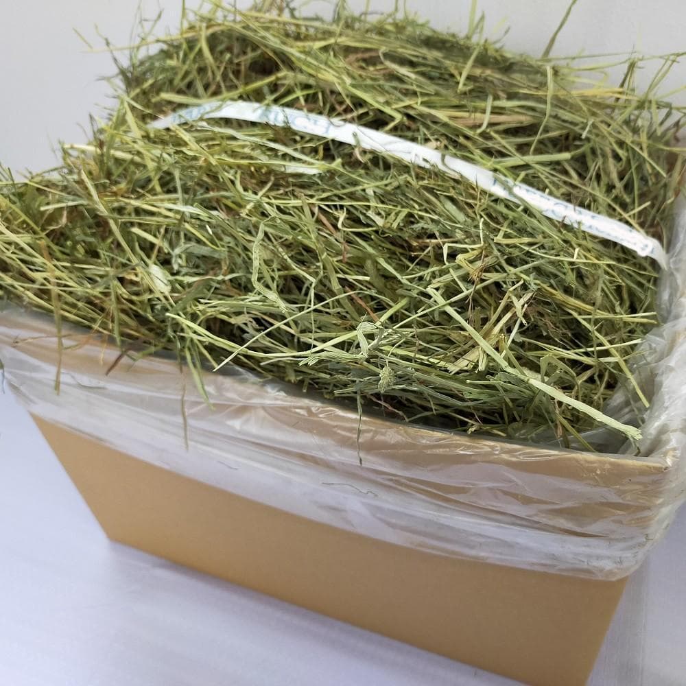 US産 チモシー 40kg ２番刈 ソフトスーパープレミアム