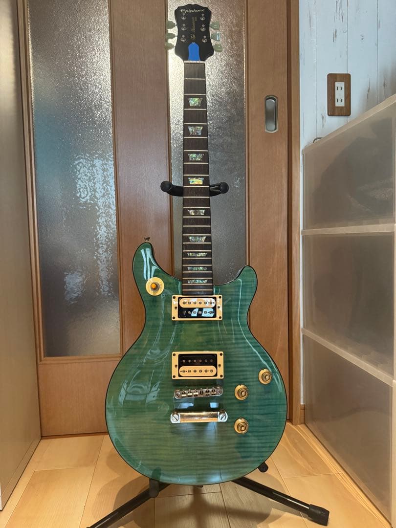 ギター EpiphoneTAK MATSUMOTO DC STANDARD