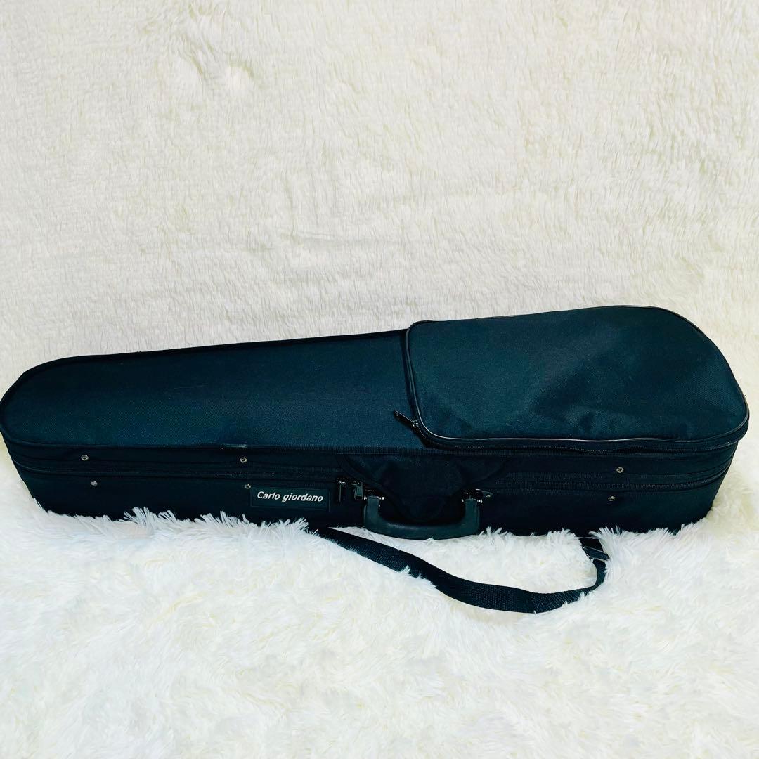 超美品　カルロジョルダーノ　サイレントバイオリン　EV-201 付属品多数