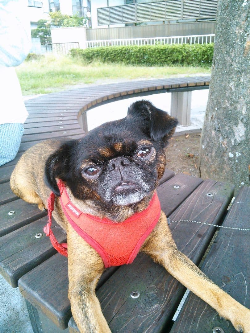 ＡＫＡＲＩさまへ