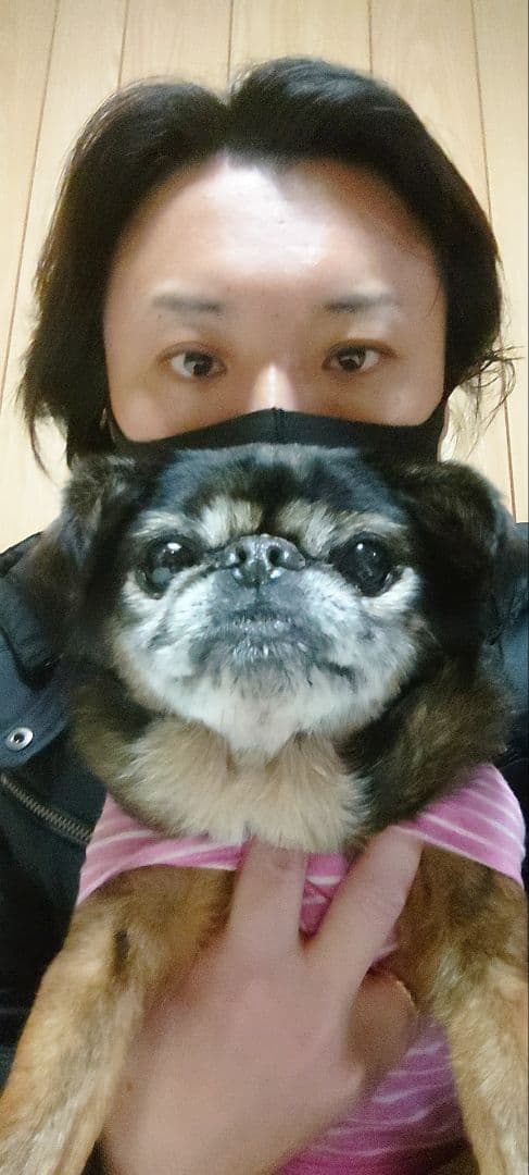 ＡＫＡＲＩさまへ