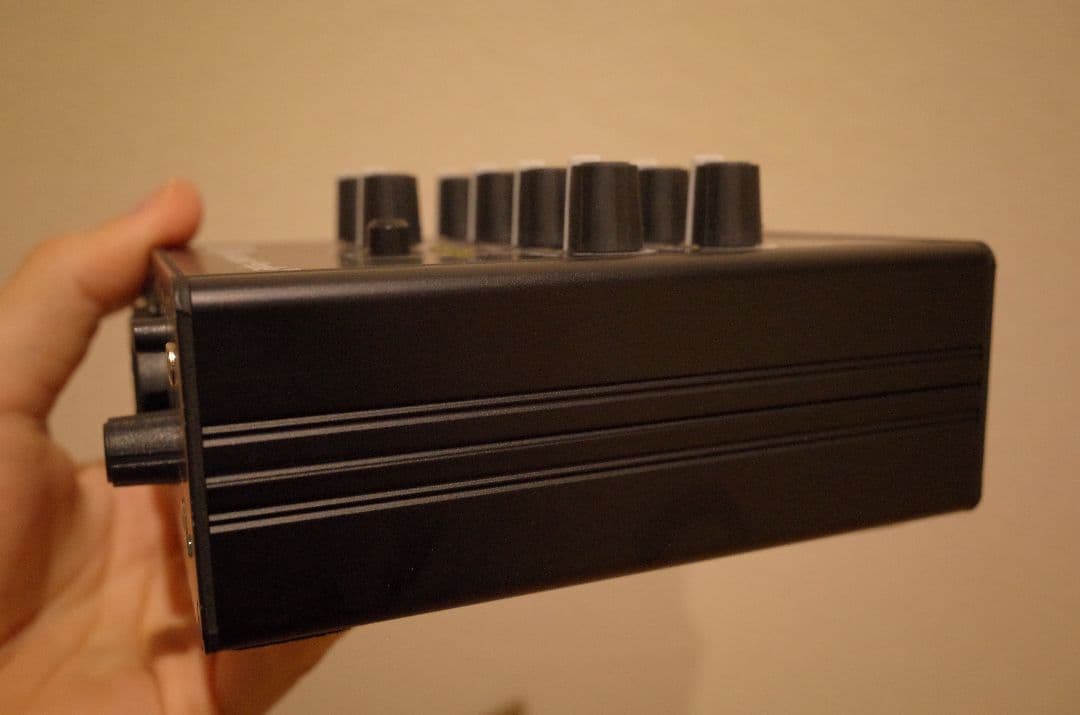 ギター AER dual mix 2