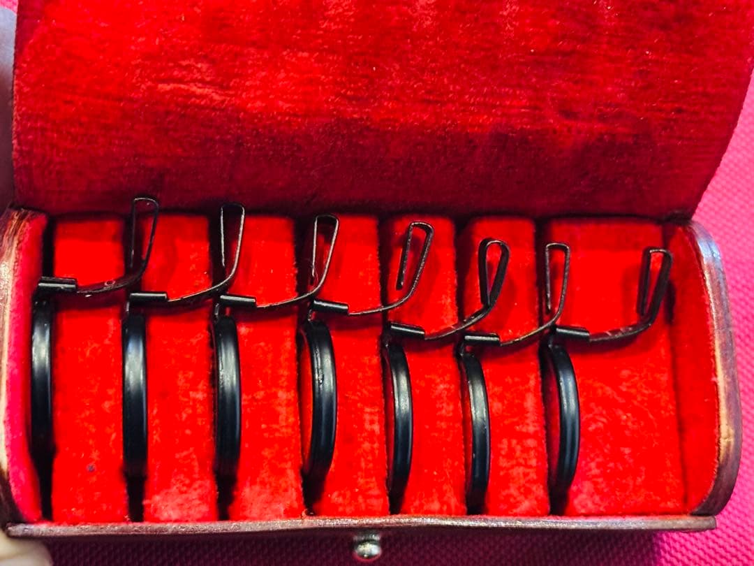 フィルムカメラ Panon Widelux F6B w/ Widelux Filter Set