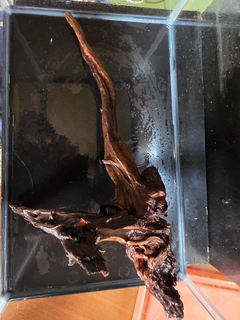 オーダーページになります。