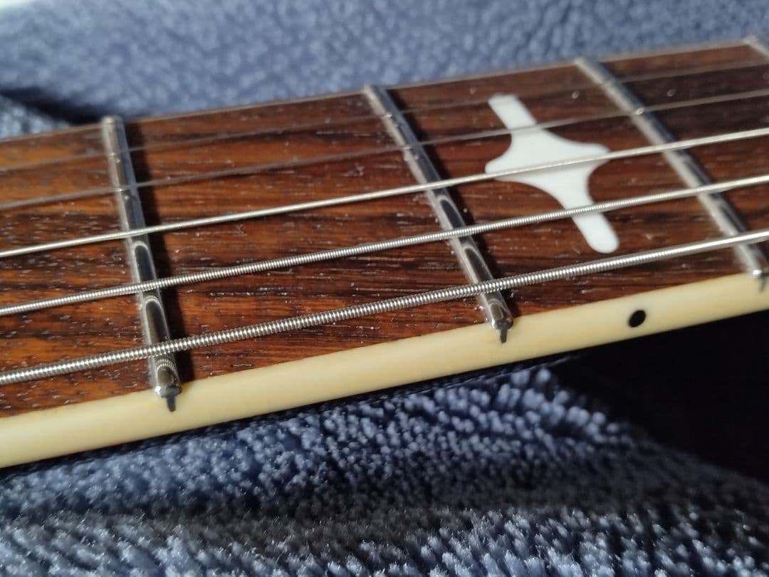 ホ*ラ様 EKO ヴィンテージ　ビザールギター　カスタム品