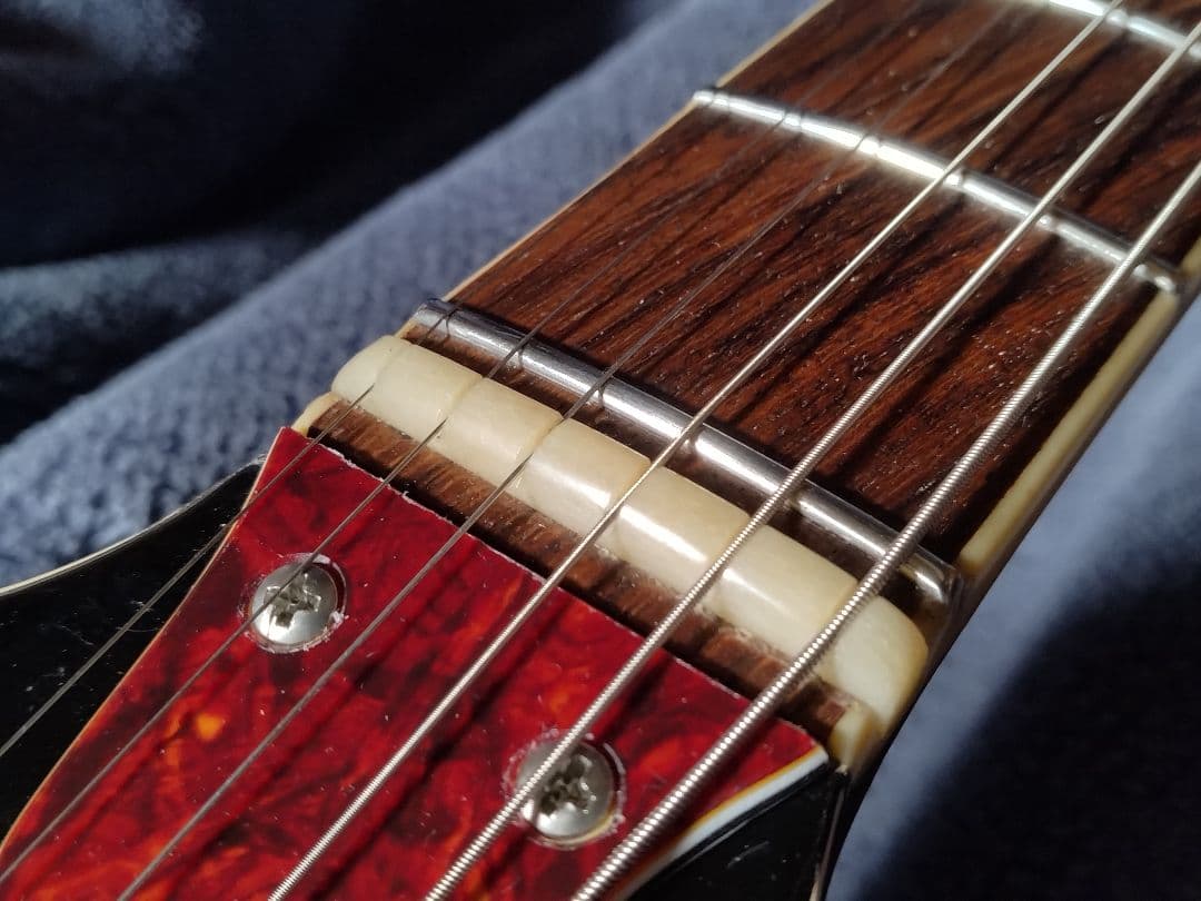 ホ*ラ様 EKO ヴィンテージ　ビザールギター　カスタム品