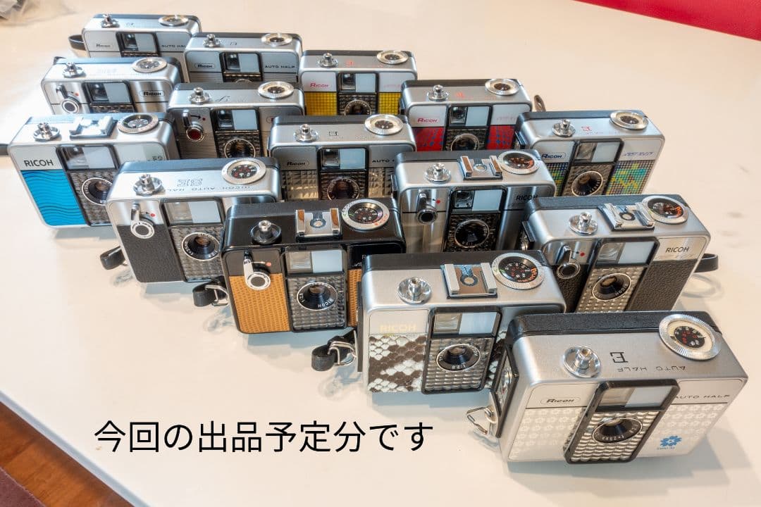 ②【美品・整備済品】RICOH AUTO HALF E2 「蛇革 」オートハーフ