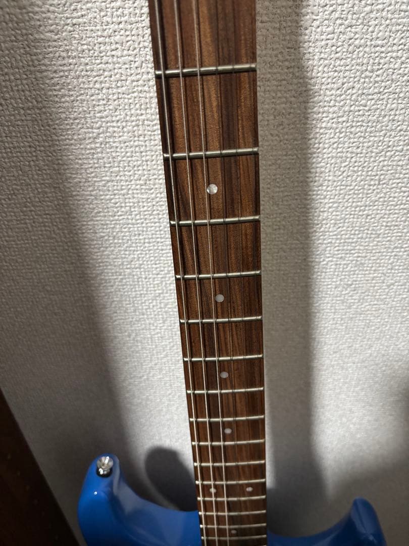 【花園たえ】ESP バンドリ!エレキギター ESPソフトケース付き