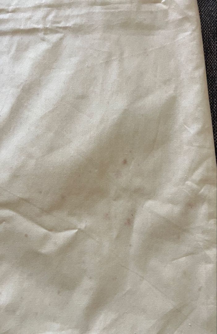 マ*ウ様 藤城清治 月光の響き 限定　409/450