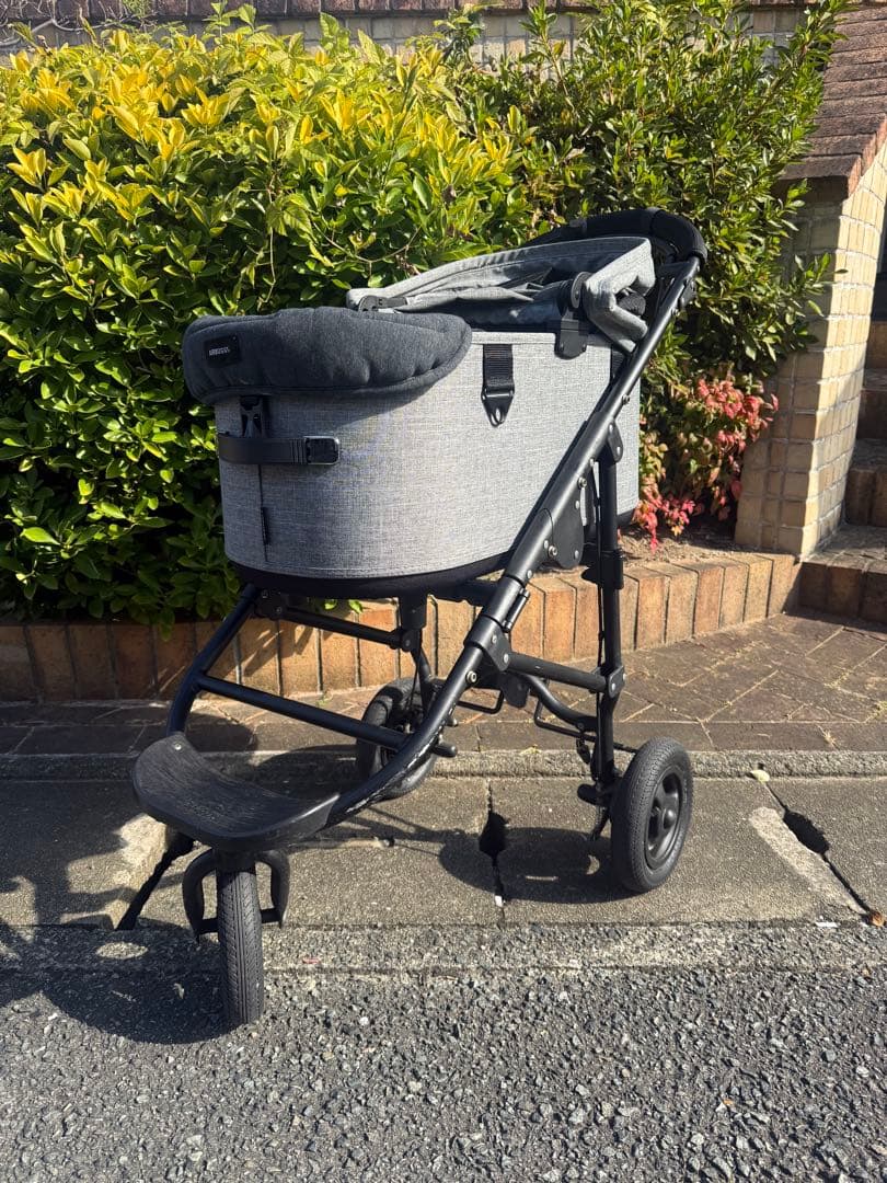 エアバギー　AIRBUGGY DOME３LARGE