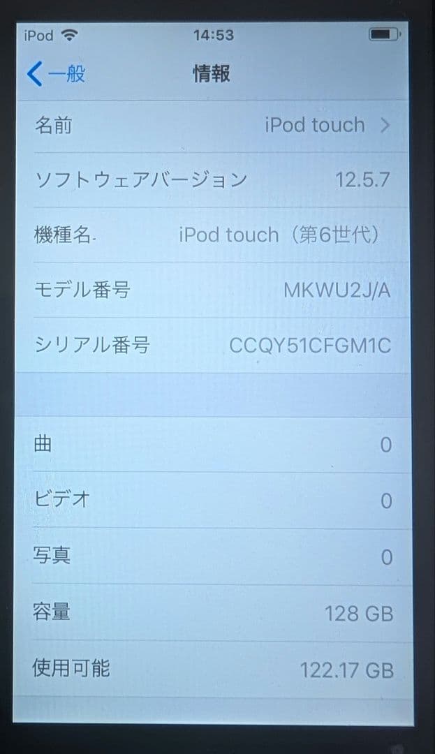 iPod touch (第6世代) 128GB ケース　ケーブル　イヤフォン付き