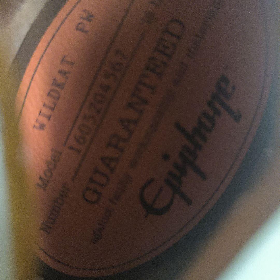 Epiphone（エピフォン） Wildkat（ワイルドキャット） 限定色　pw