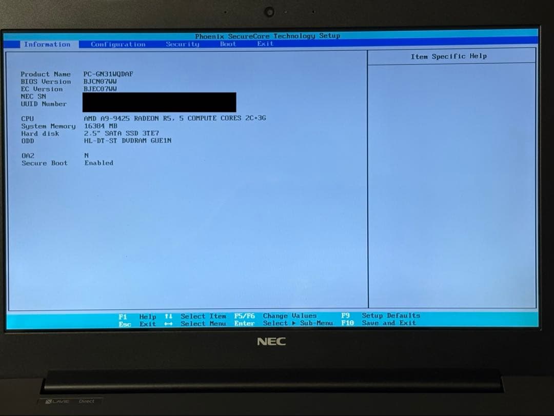 Windowsノート本体 LAVIE Direct NS(A)GN31WQ (A9/16GB/120GB)