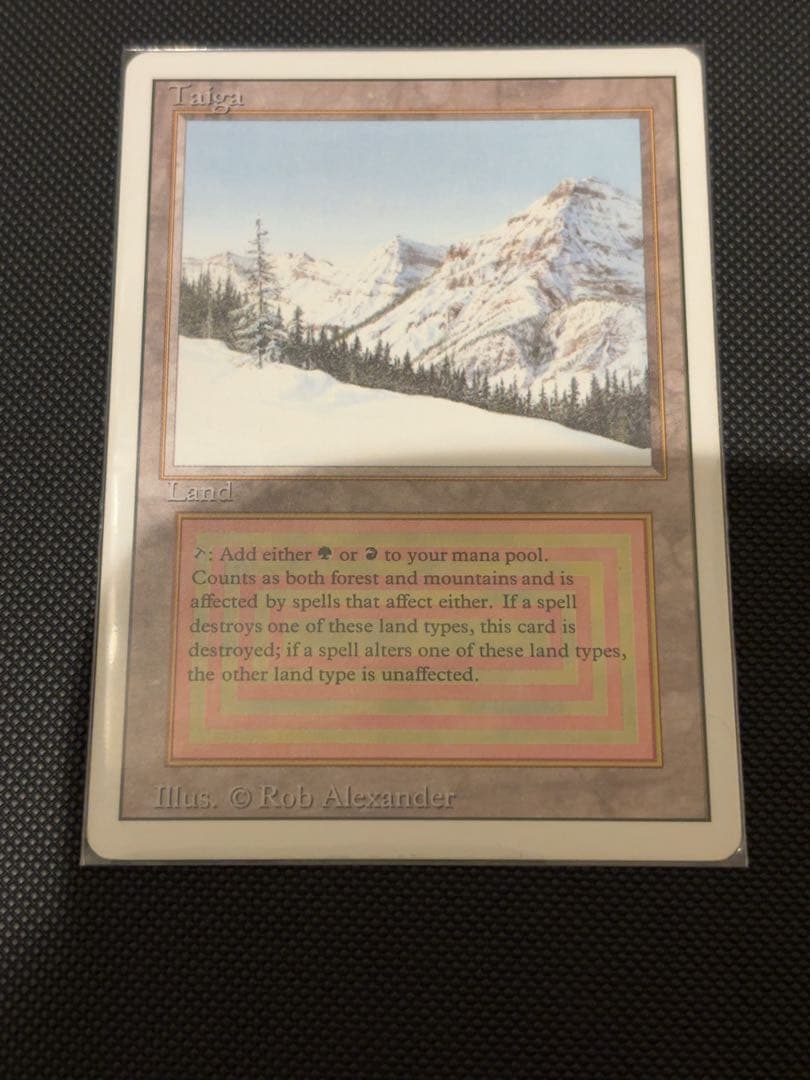 Taiga 土地カード マジック：ザ・ギャザリング