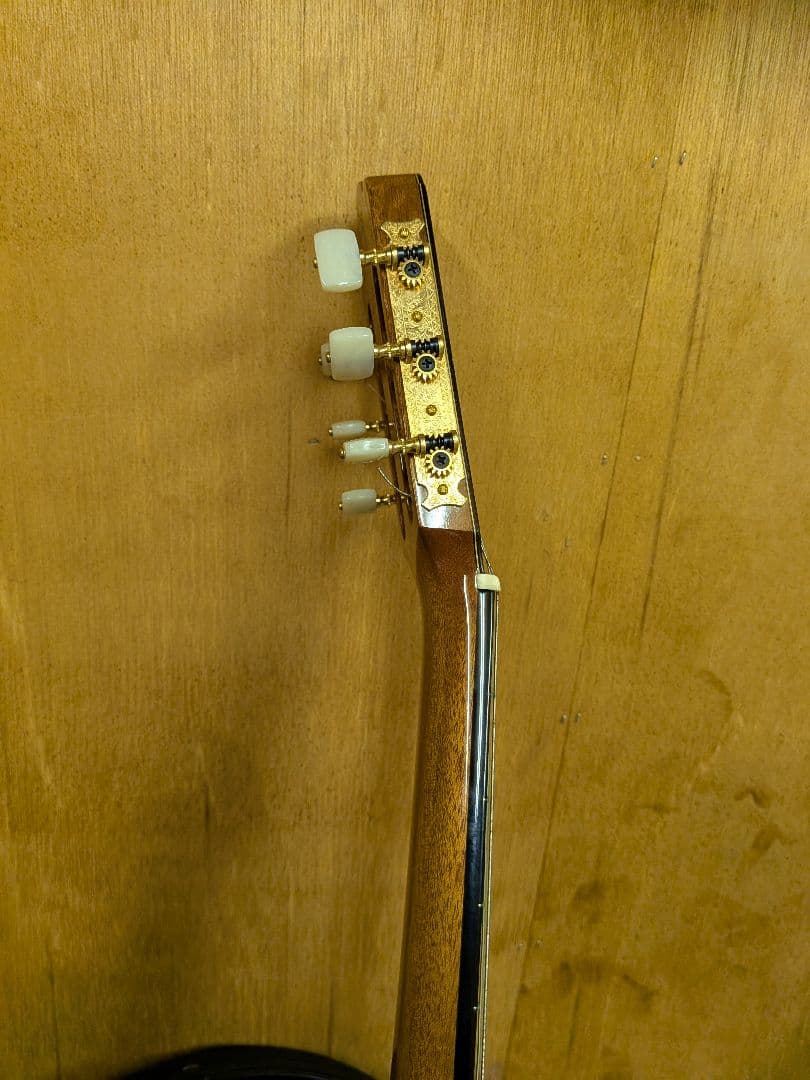 希少ASTURIAS（アストリアス）