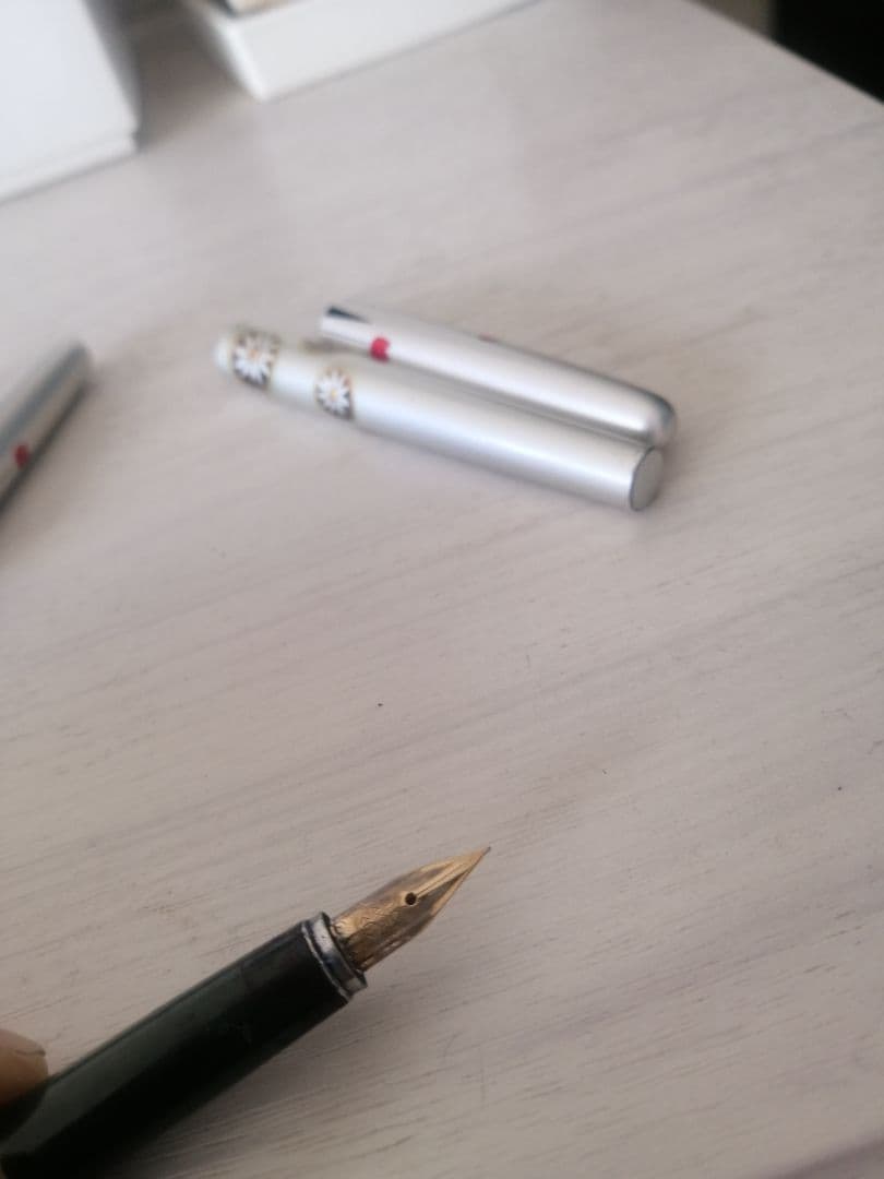 現状万年筆二本