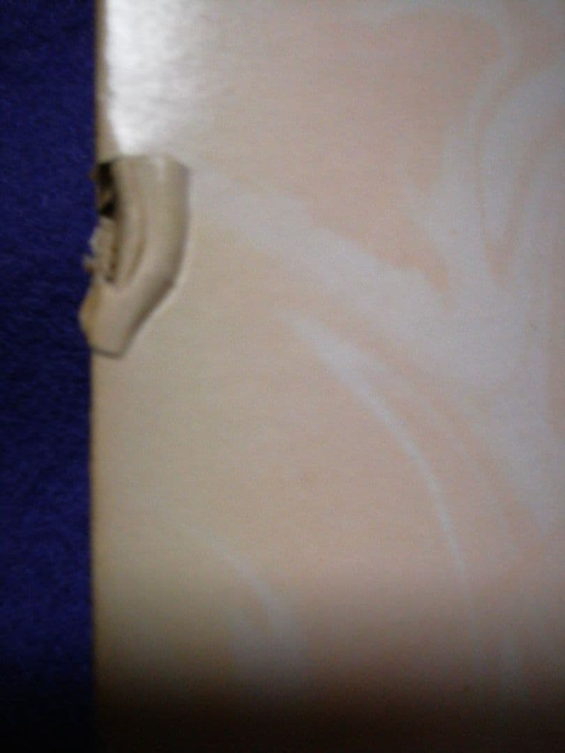 DAICON III＆IV OPENING　 八岐之大蛇の逆襲　LD　中古品