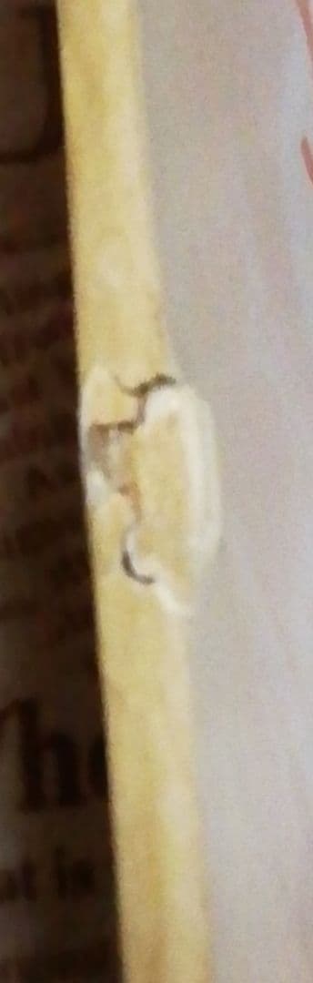 DAICON III＆IV OPENING　 八岐之大蛇の逆襲　LD　中古品