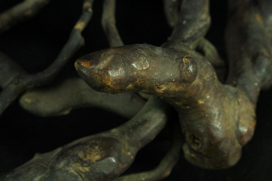 奇木 時代 根木 飾り台 自然木 55cmx30cm(K-RC951)