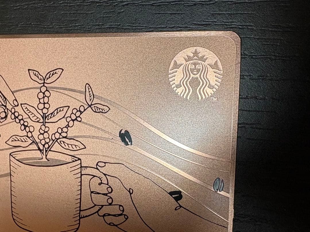 【激レア・抽選・PIN未削り】25周年記念 スターバックスメタルカード 金属製