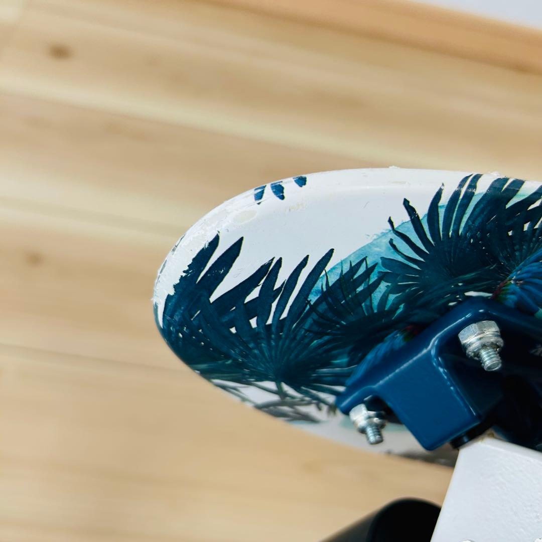 希少✨　penny ペニー　22インチ　SUBTROPICS 蓄光モデル