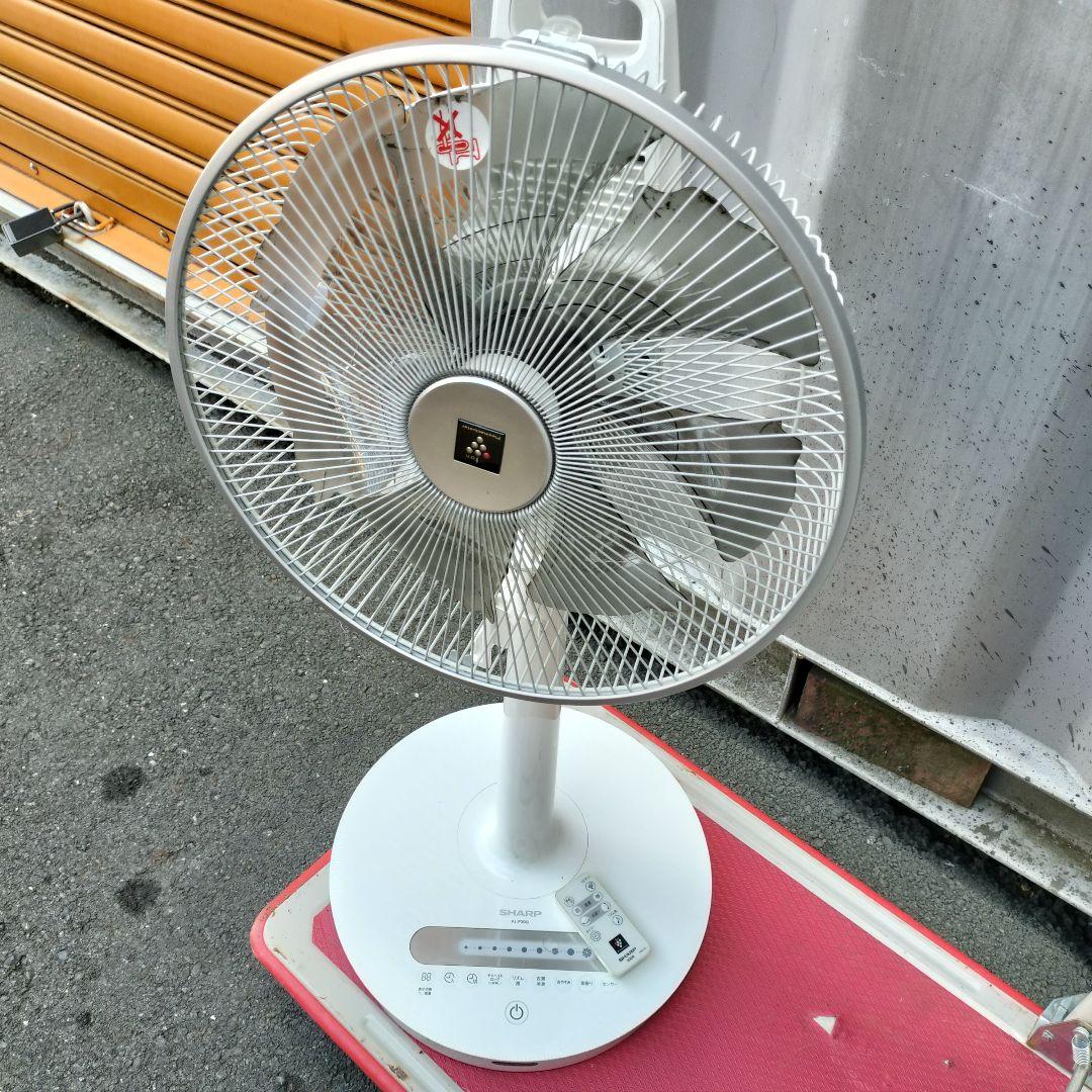 2022年製 SHARP ハイポジション リビングファン PJ-P3DG-W