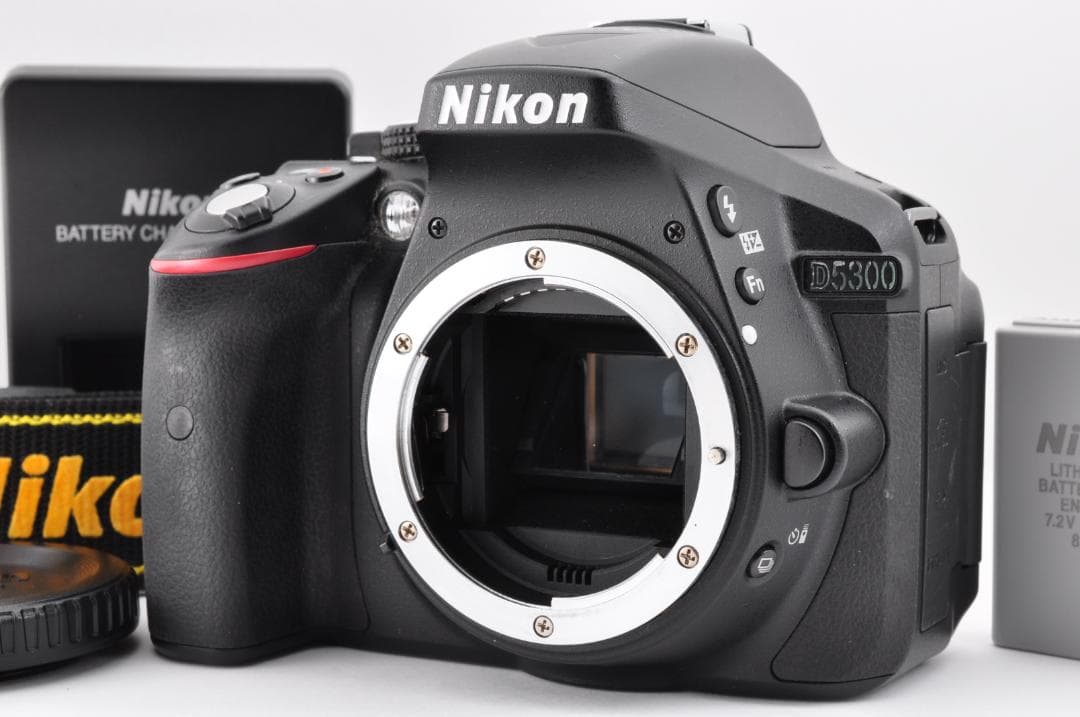 Nikon D5300 デジタルカメラ シャッター数 2869(3%)#FI13