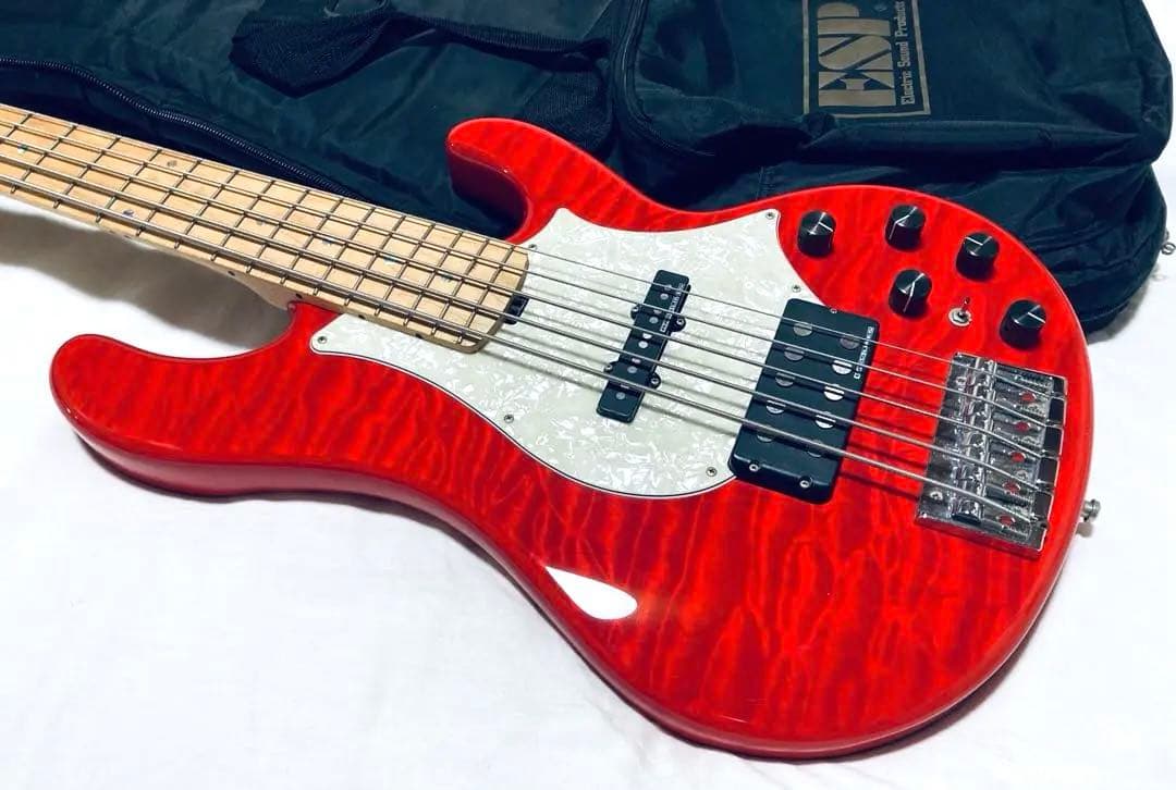 極美品 完備品 Edwards E-T-170BD レッド ラルク テツヤ