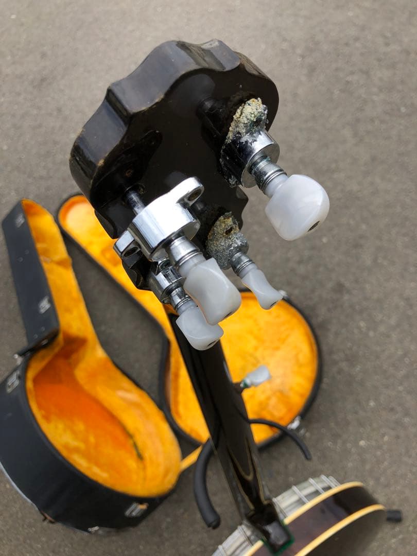 tenesy 5弦バンジョー　ハードケース付き